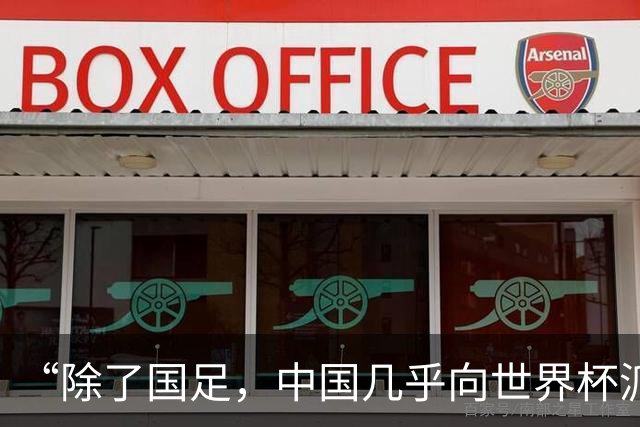 “除了国足，中国几乎向世界杯派去了一切”