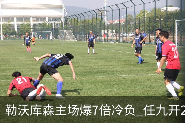 勒沃库森主场爆7倍冷负 任九开24注50万今年最高