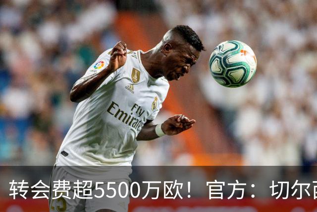 转会费超5500万欧！官方：切尔西签下21岁帕莱斯特拉，签约7年